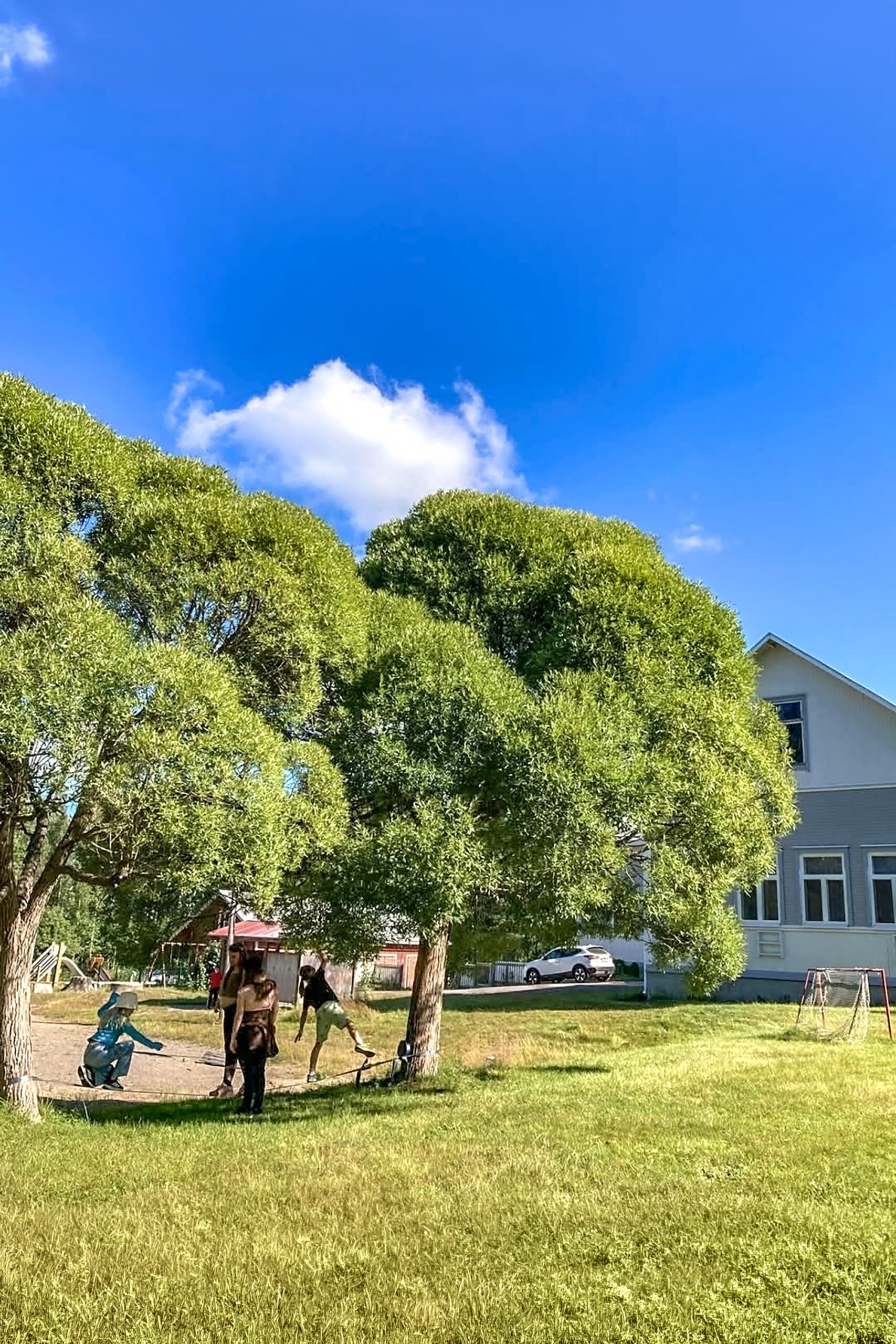Kesäinen koulun pihamaa, suurten puiden alla leikkii lapsia.