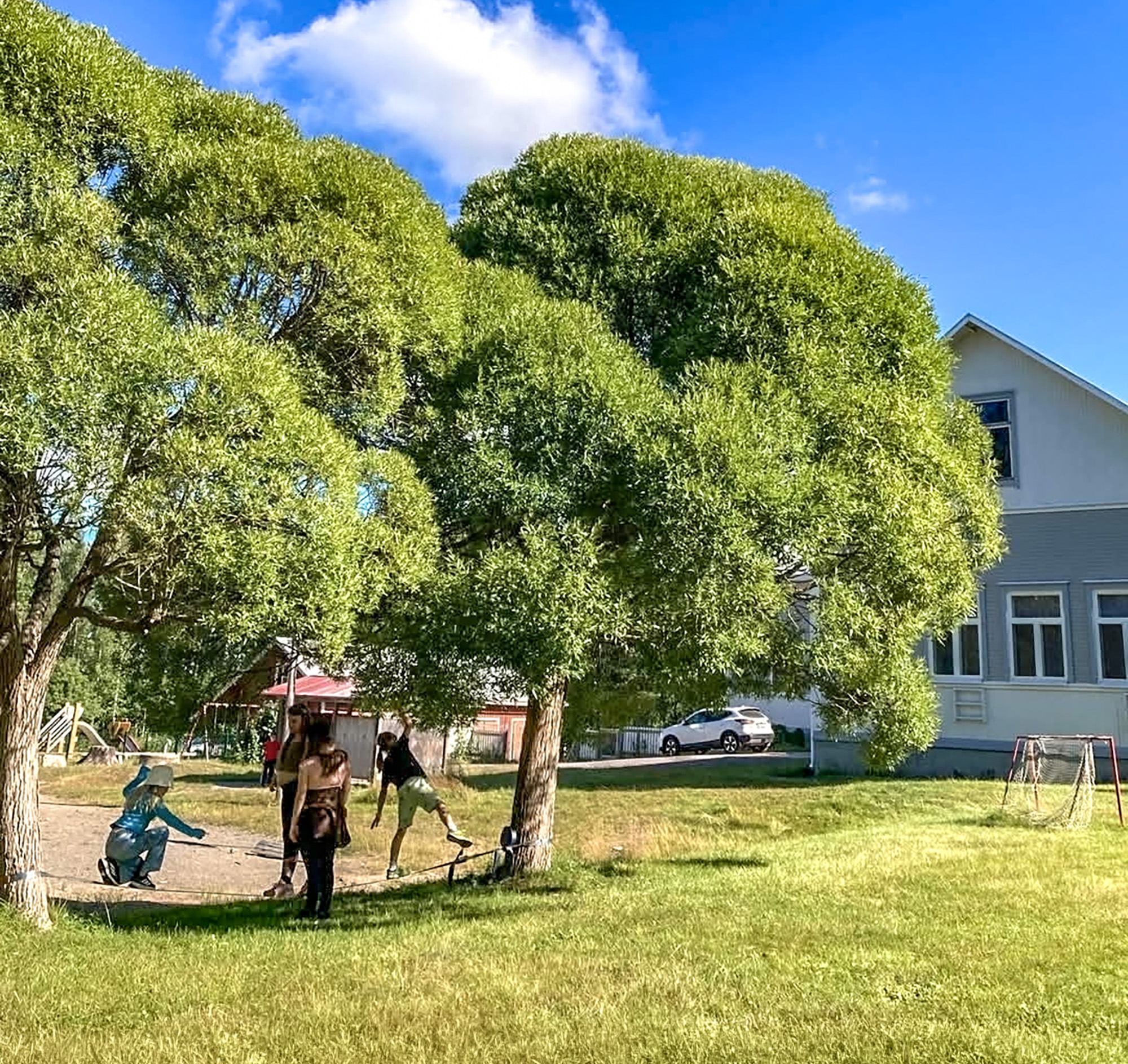 Kesäinen koulun pihamaa, suurten puiden alla leikkii lapsia.