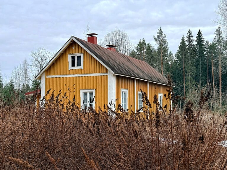 Keltainen puutalo, joka kuvattu ruskeasävyisen heinikon takaa. Talon takana metsää.