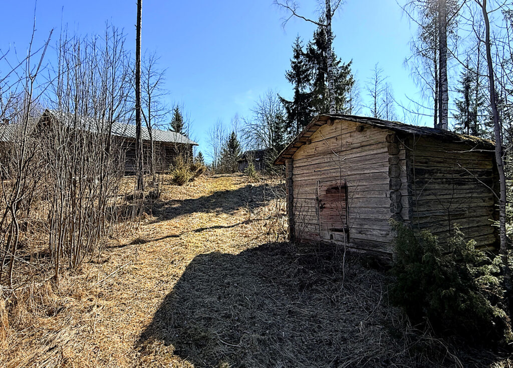 Toukokuinen pihapiiri. Oikeassa laidassa harmaa hirsiaitta, takana isompi hirsirakennus.