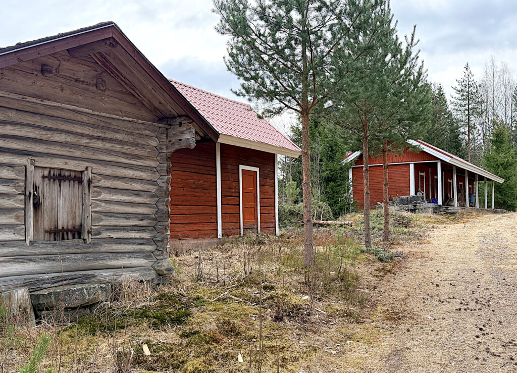 Pihatie, joka vasemmalla puolella useita piharakennuksia. Etualalla harmaa aitta, myöhemmin punaisia hirsirakennuksia.