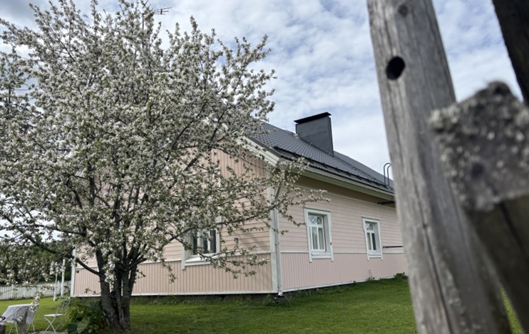 Vaaleasävyinen talo, jonka edessä omenapuu kukassa. Vihreä nurmi, pilvinen taivas.