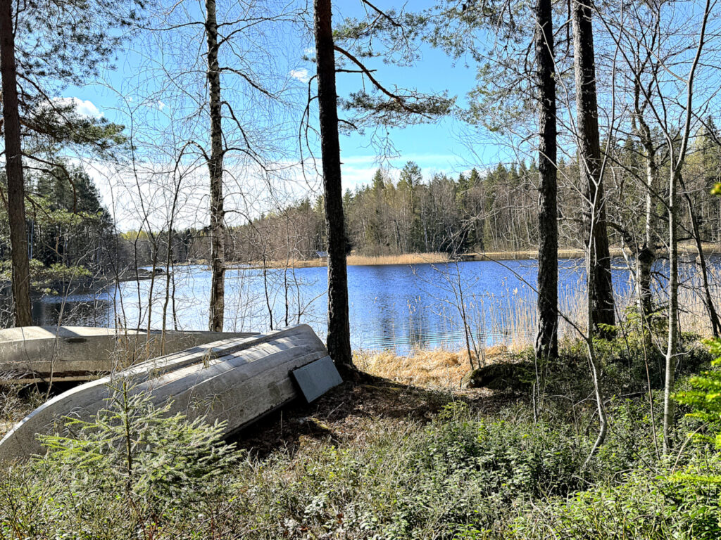 Järvenranta. Rannalla kaksi venättä käännettyinä.