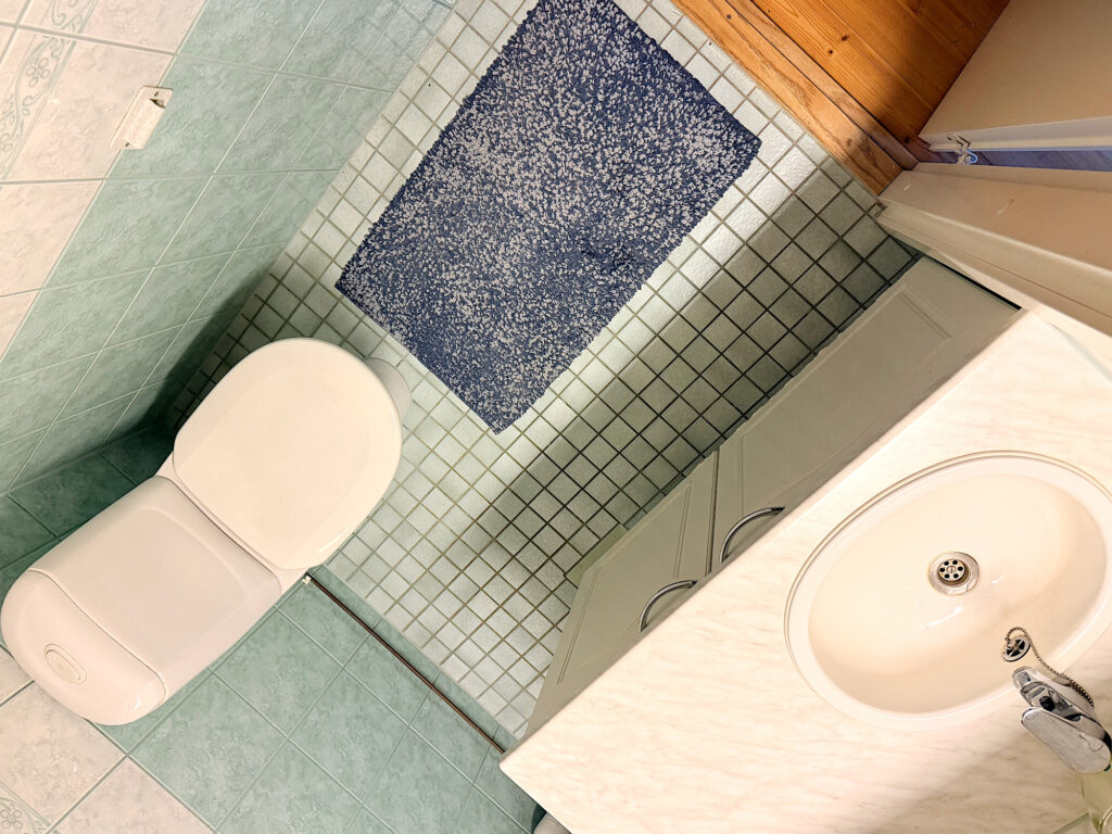 Ylhäältäpäin valokuvatta pieni WC-tila, jossa mintunvihreät laatat ja sininen lattiamatto.