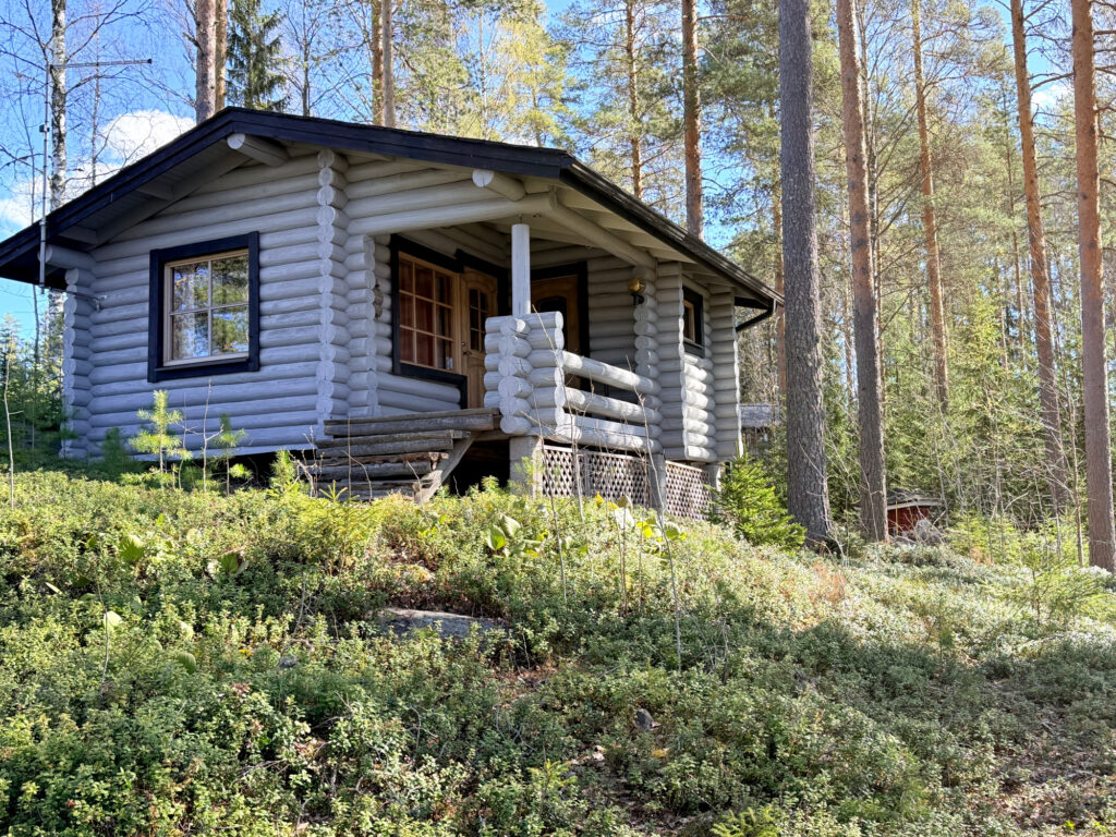 Vaaleansininen pyöröhirsisauna metsämaisemassa.