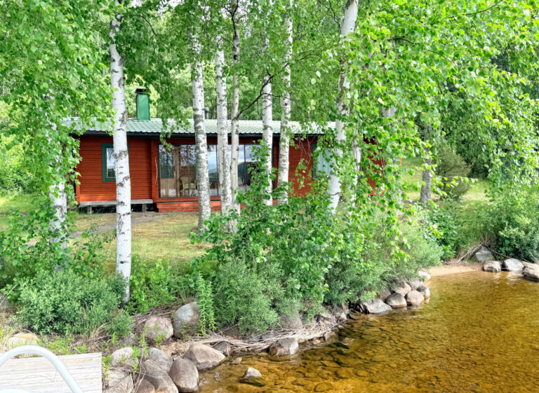 12. Puulan parhaalla paikalla