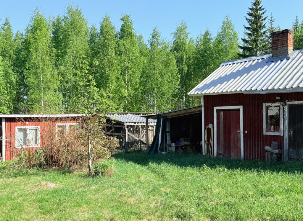 Pihapiiri, jossa kaksi punaista rakennusta. Vihreä nurmi, taustalla puita ja sininen taivas