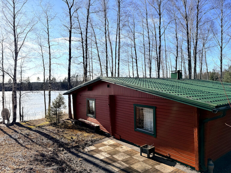 12. Puulan parhaalla paikalla