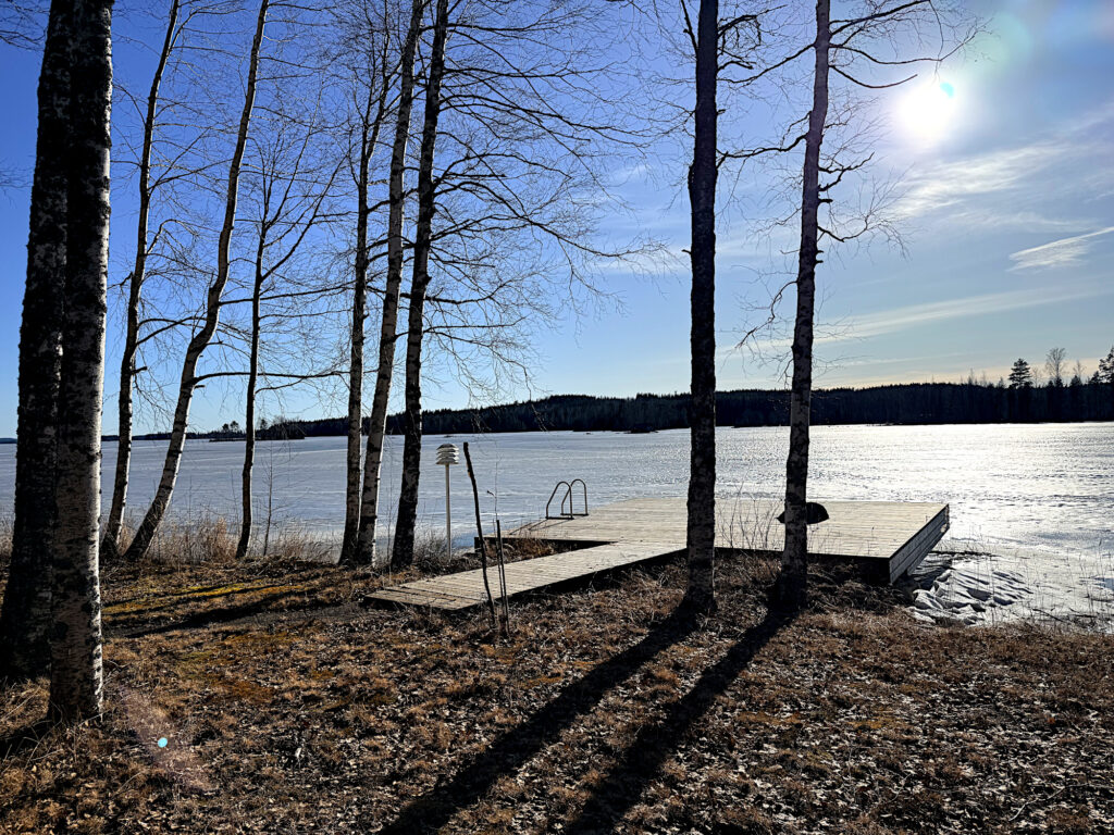 Järvimaisema keväisellä jäällä., edessä puita ja niiden varjoja.