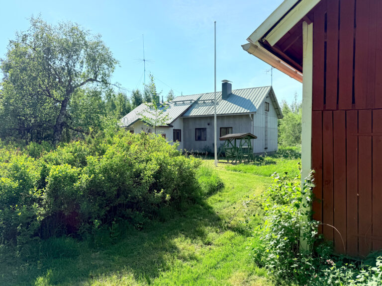 18. Koti koivujen alla