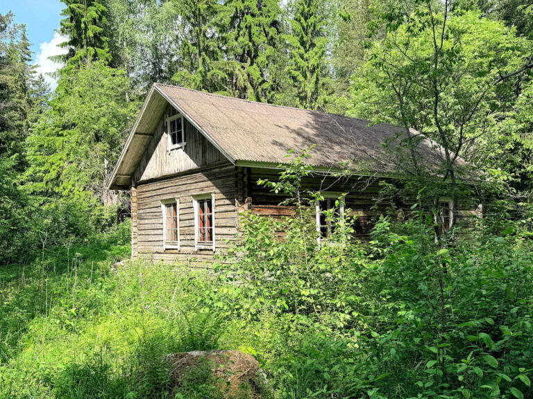 19. Mörrimöykyn kolo